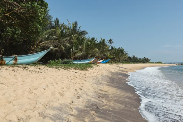 Malowniczej plaży. Sri lanka — Zdjęcie stockowe