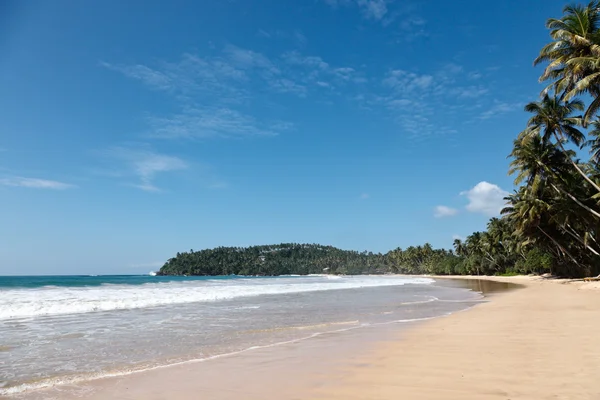 Idyllische strand. Sri lanka — Stockfoto