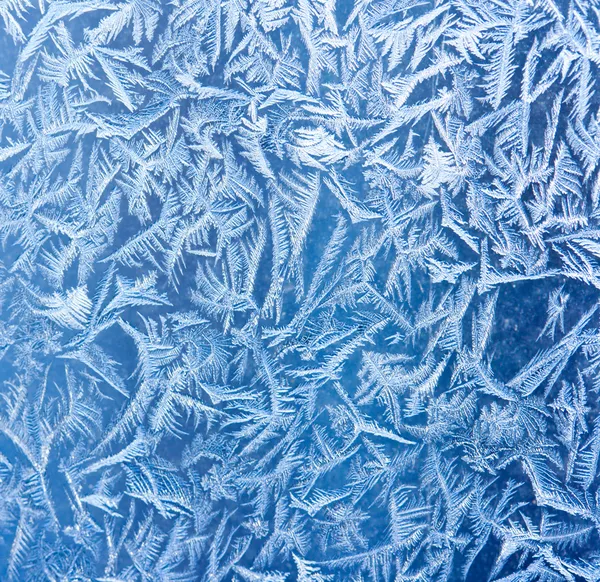 Frost patters Telifsiz Stok Fotoğraflar