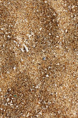 Beach sand of grinded sea shells clipart