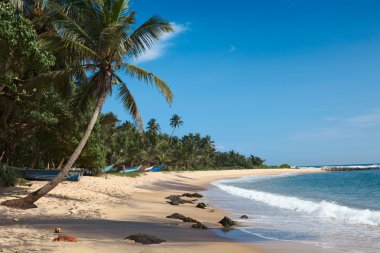 Idyllic beach. Sri Lanka clipart