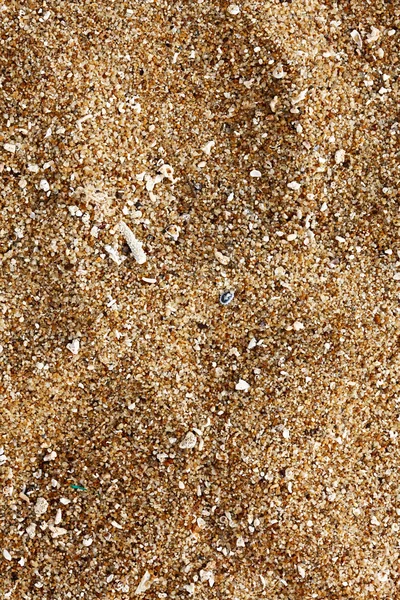 stock image Beach sand of grinded sea shells