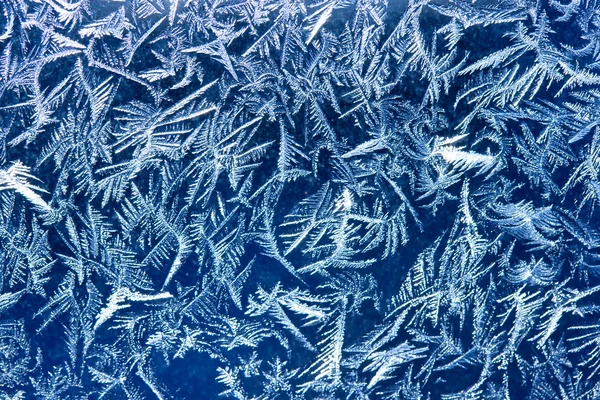 Frost patters — Stok fotoğraf