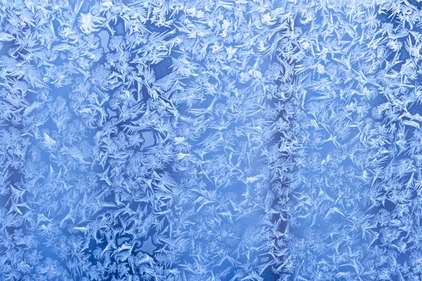 Frost patters — Stok fotoğraf