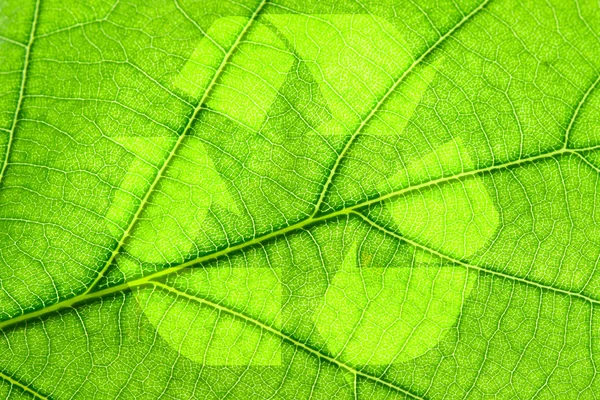 Recycling symbol on leaf — Stock Photo, Image