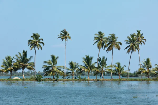 Backwaters van Kerala — Stockfoto
