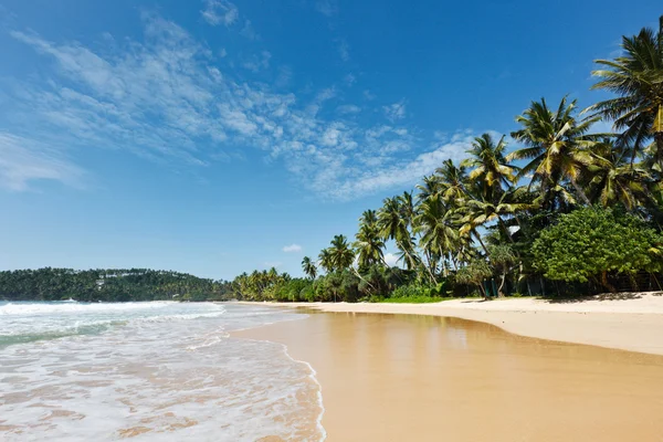 Idyllische strand. Sri lanka — Stockfoto