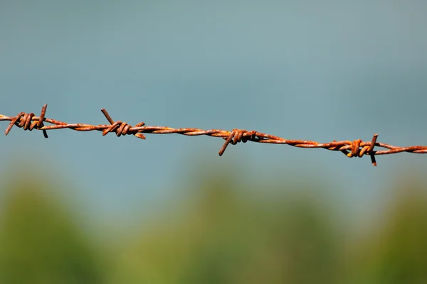 Stalowy Drut kolczasty — Zdjęcie stockowe