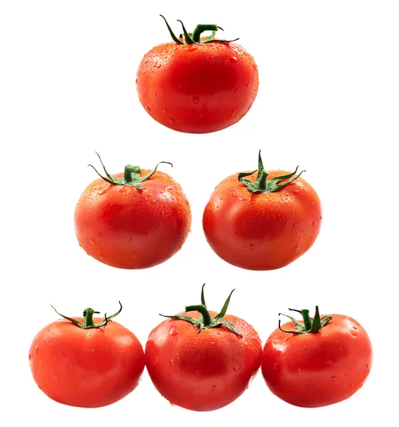 Tomat collage — Stockfoto
