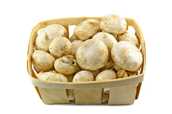 Champignon Mushrooms Wooden Basket White — Stock Photo, Image
