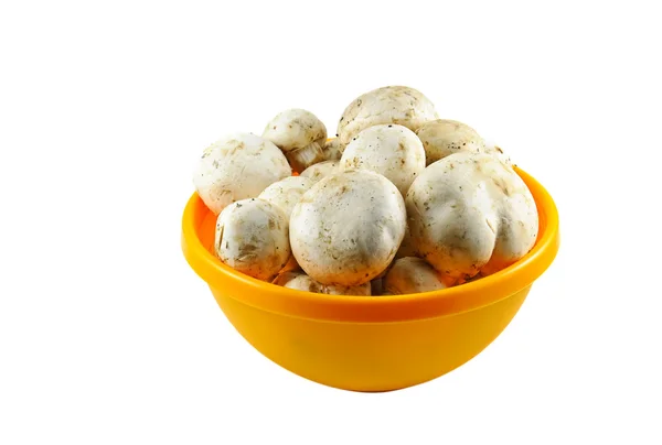 Champignon Mushrooms Yellow Bowl White — Stock Photo, Image