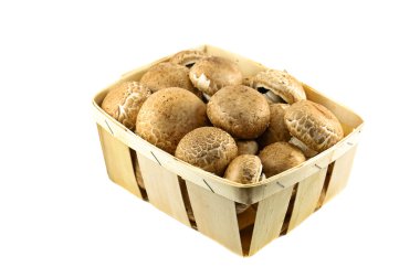 ahşap sepet içinde champignon Kraliyet mantar