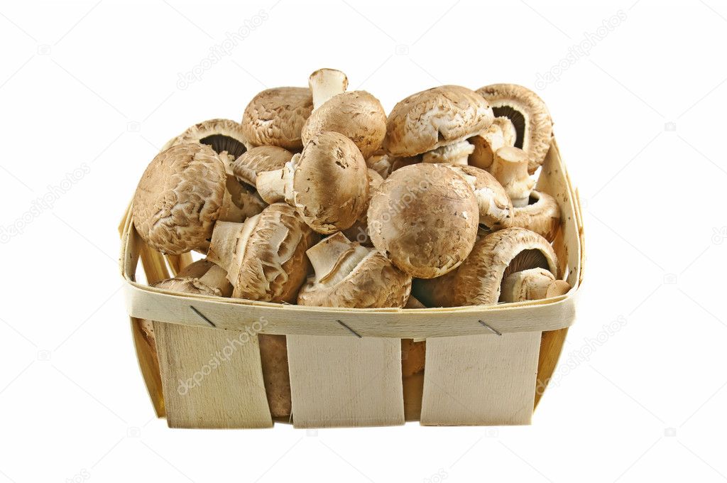 Champignon royal mushrooms in a wooden basket