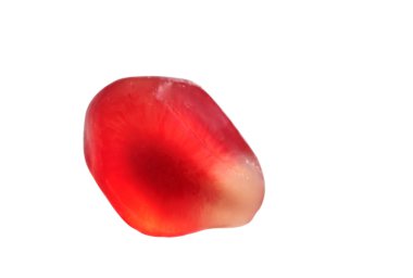 Macro of single red pomegranate seed