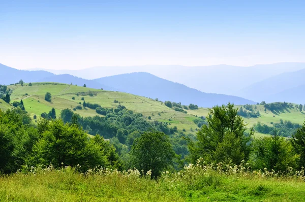 Карпатские горы — стоковое фото