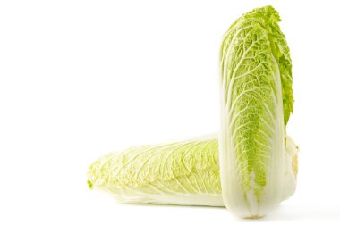 Chinese cabbage clipart