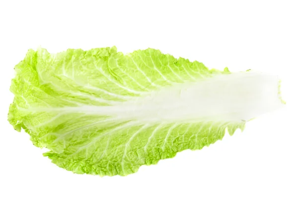 Chinese cabbage leaf — Stock Photo, Image