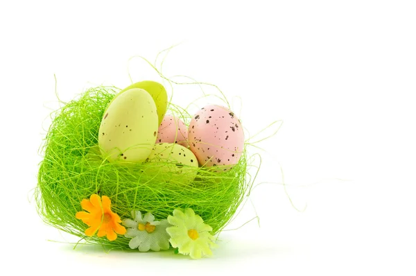달걀으로 장식 부활절 둥지 — 스톡 사진