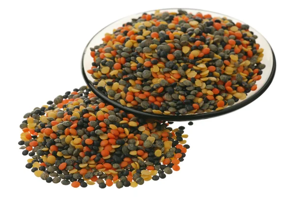 Bowl of uncooked lentils — Stock Photo, Image