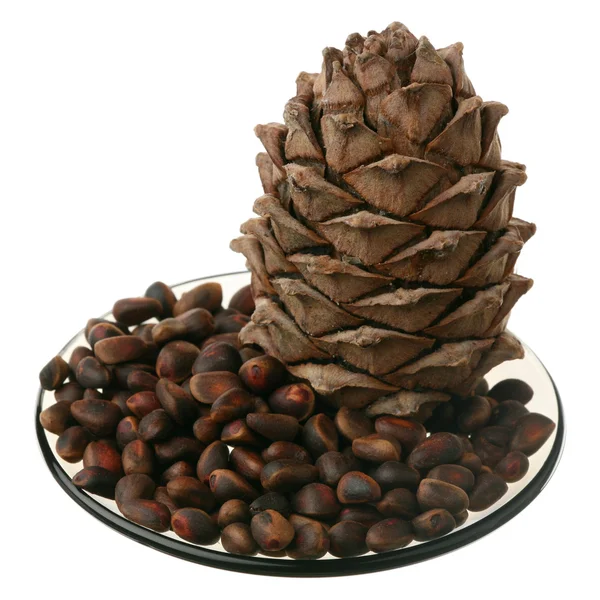 Cedar nuts and cone — Stock Photo, Image