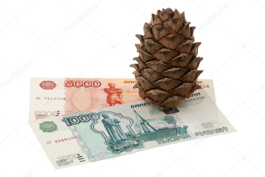 Cedar cone and money