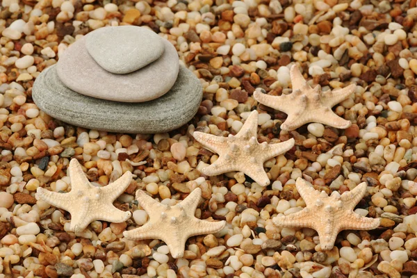 Montón de piedras y estrellas de mar — Foto de Stock