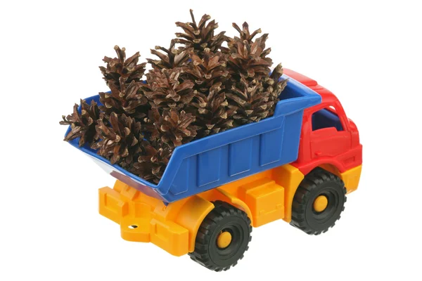 Conos de pino en el camión — Foto de Stock