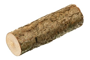 One log clipart