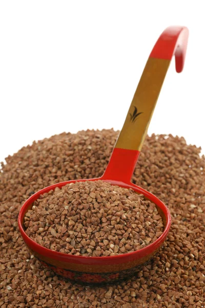 Semole di grano saraceno — Foto Stock