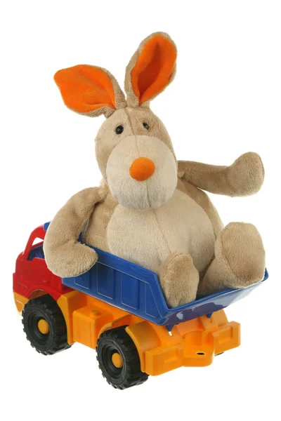 野兔在卡车 — 图库照片