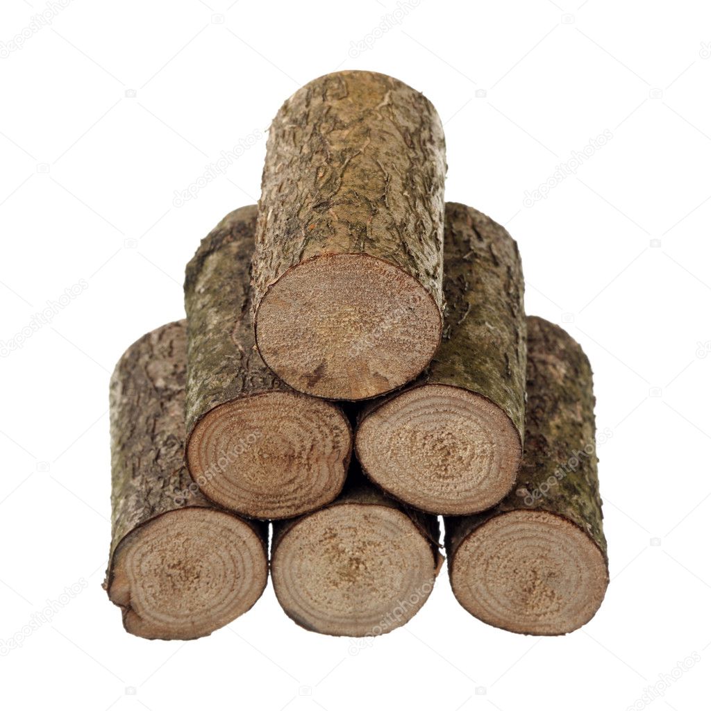 Six logs are isolated on a white background
