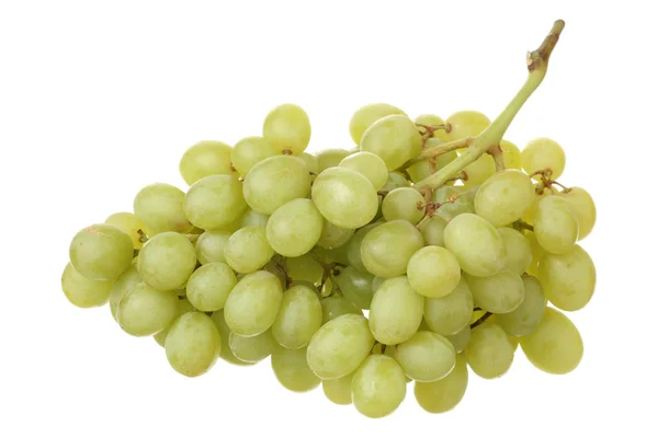 stock image Bunch of grapes