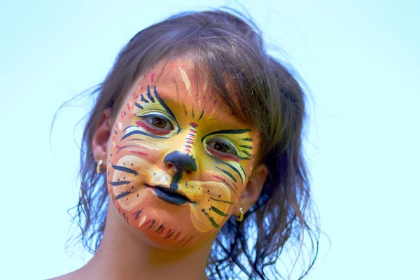 stock image Lion Face Paint