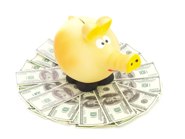 Piggy piggy bank with U.S. — Stock Photo, Image