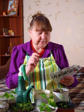 Pensioner chooses the seed for planting clipart