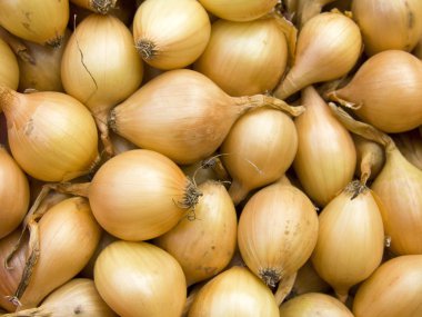 Small onions background clipart