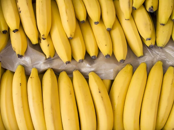 Bananen in een doos — Stockfoto