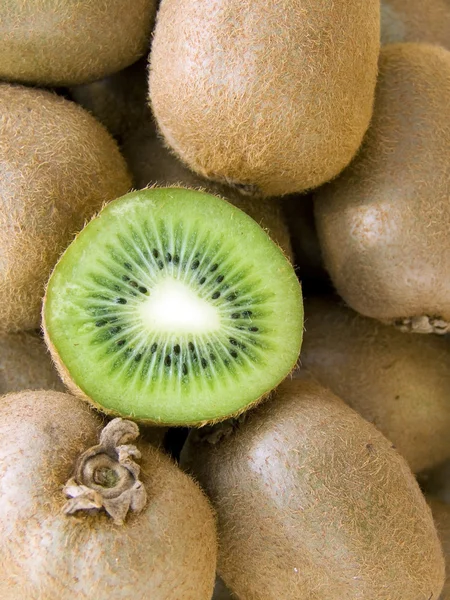 stock image The big kiwis macro