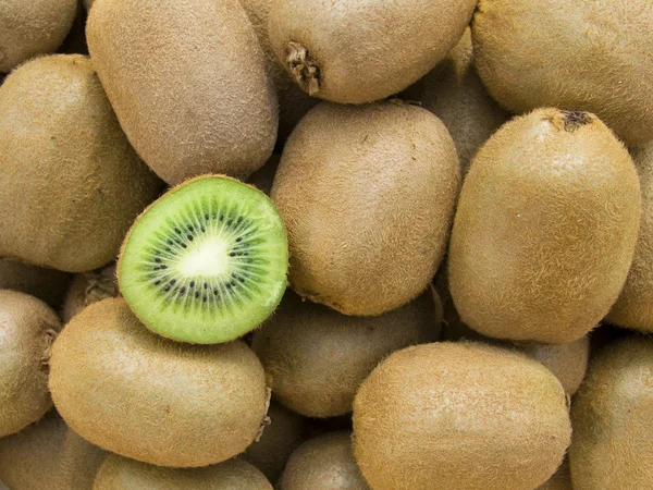 stock image The kiwis