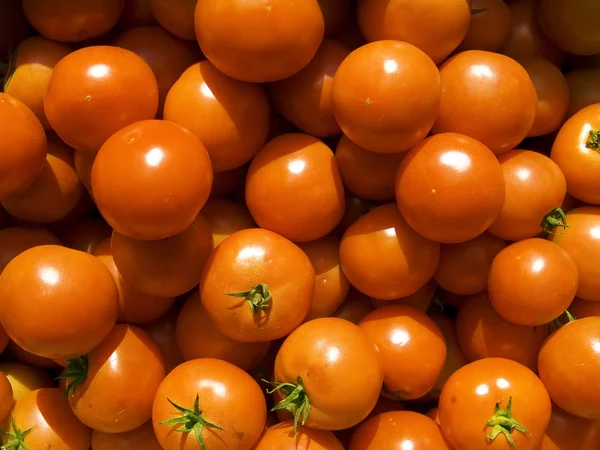 토마토 태양 배경 — 스톡 사진