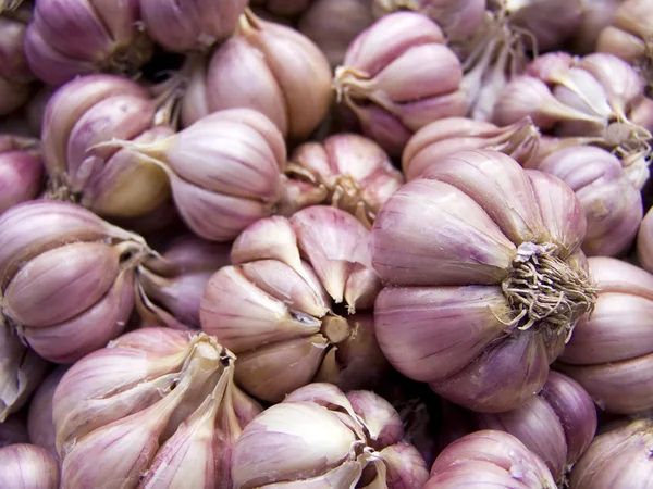 Garlic macro — Stock Photo, Image