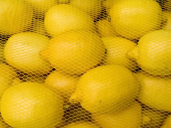 Limões atrás de uma grade — Fotografia de Stock