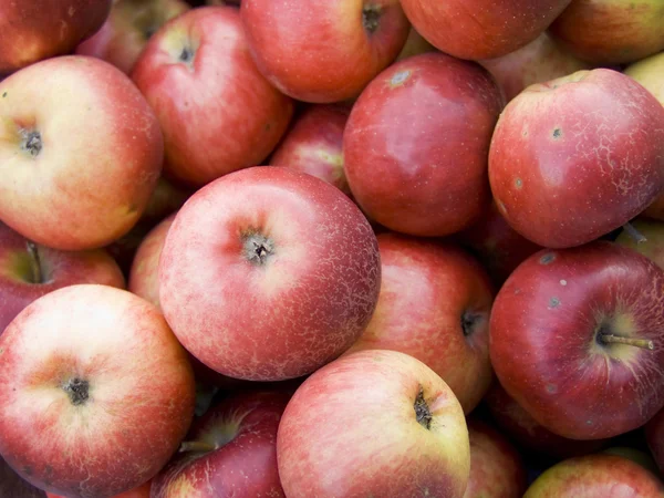 빨간 사과 배경 — 스톡 사진