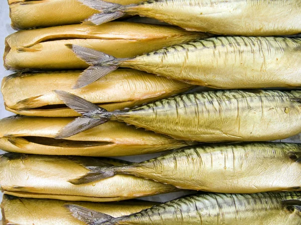 Cold smoking a mackerels — Stock Photo, Image