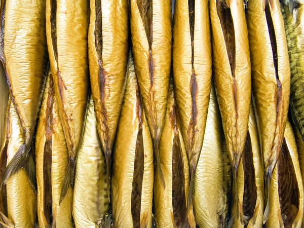Smoke-cured a mackerels — Stock Photo, Image