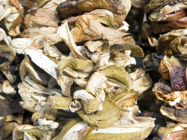 Dry mushrooms — Stock Image Dry mushrooms Stock Photo