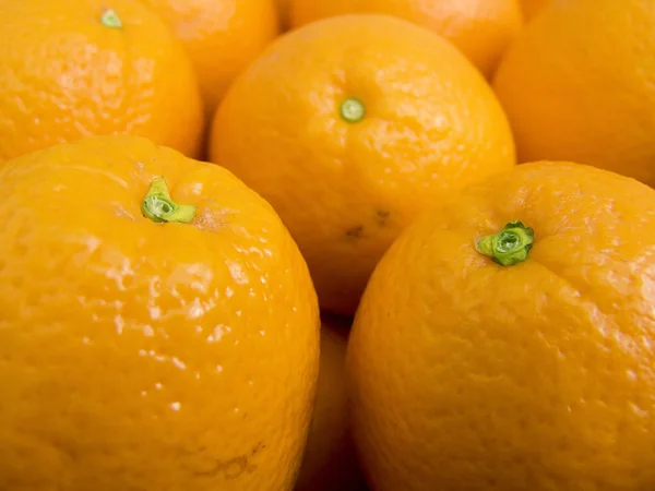 水果橘子 — 图库照片