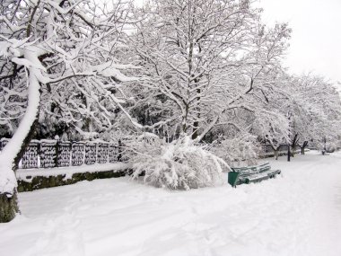 ağaçlar ve snow2 tezgah