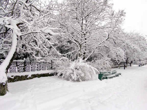 Träd och bänk i snow2 — Stockfoto