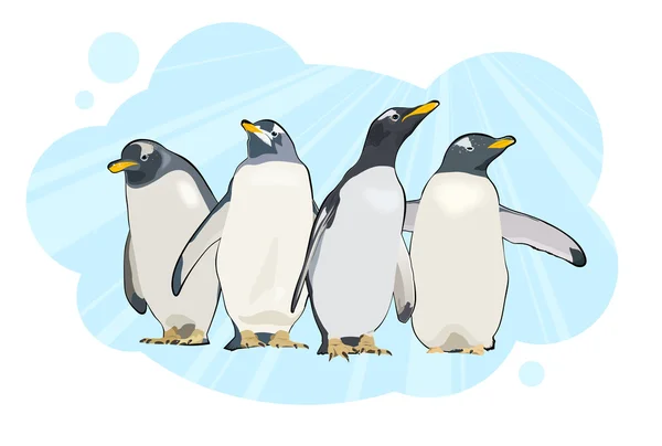 Penguins character — Stock Vector